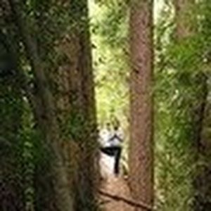 Meet your Posher, Anne t.